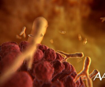 Antibodies and COVID-19: Explained