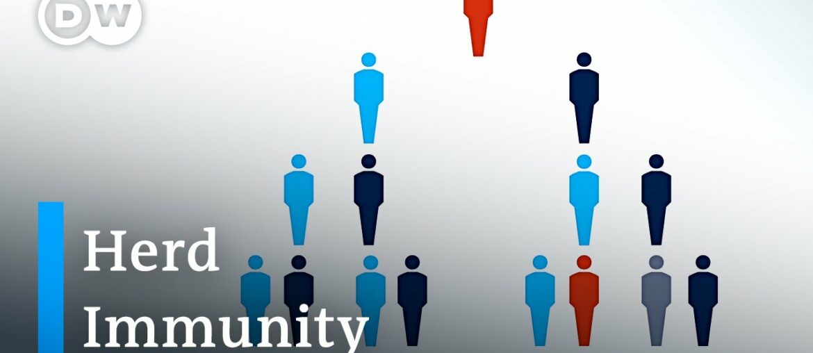 Why aiming for herd immunity to deal with the coronavirus still is a bad idea | DW News