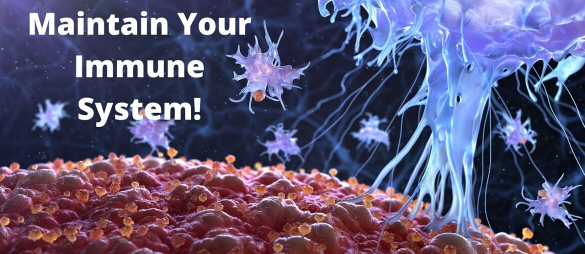 Build & Maintain Your Immune  System!