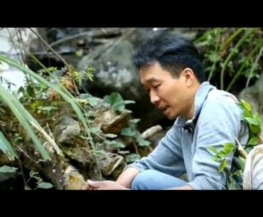 Traditional Medicine helping in COVID-19 fight