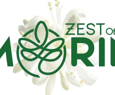 Moringa Super Food Supplement