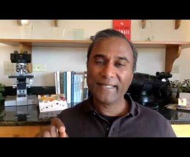Dr SHIVA LIVE  How Vitamin D Destroys FOR YOU  A Molecular Systems Understanding  200328 32m10  554