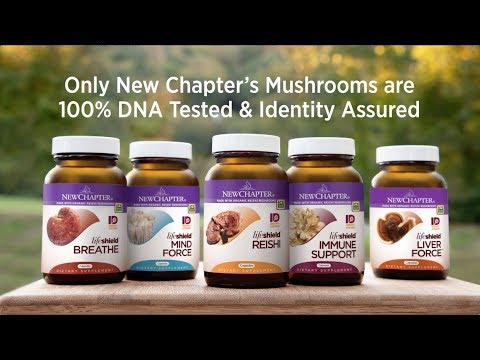Health Benefits of Mushrooms | Supplements for Immune, Mind, Liver & More | 100% DNA-tested Strains