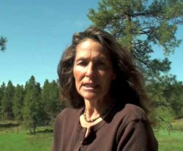 Natural Immune System Vitamin Beta Glucan