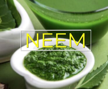 Pride Wellness - Rose, Aloe-vera, Vitamin C Face Mist