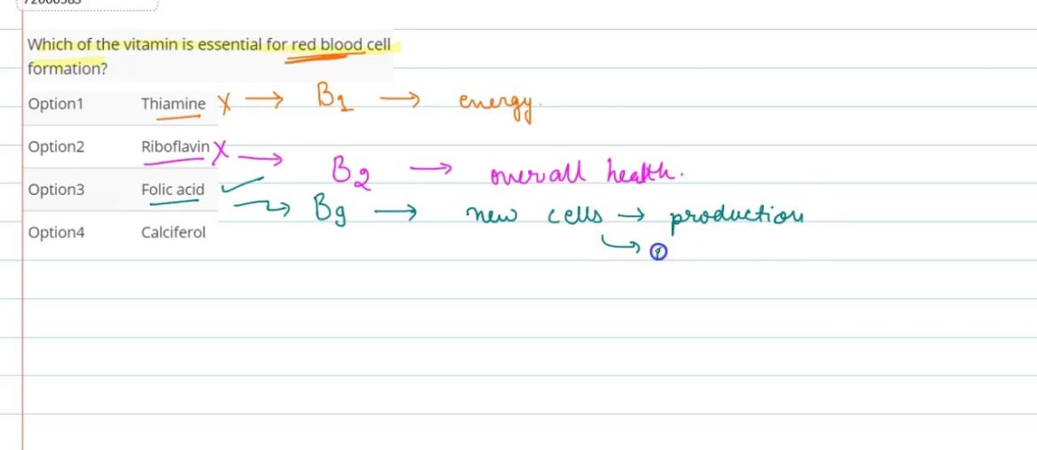 Which of the vitamin is essential for red blood cell formation?