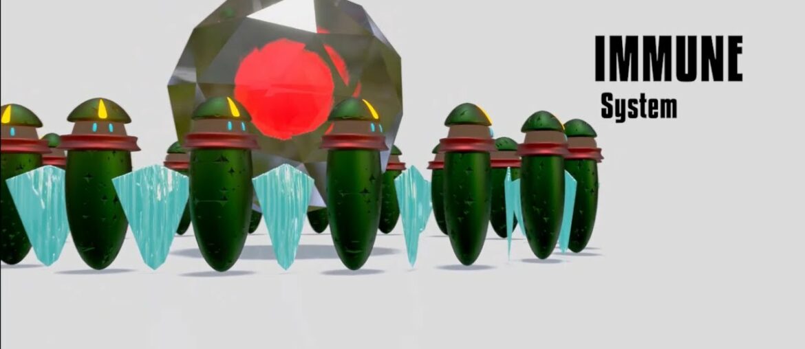 How the immune system works vs Viruses (Coronavirus) and infections.