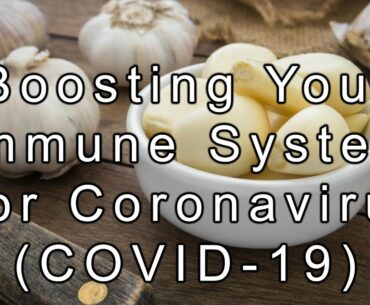 10 foods for boosting your immune system for coronavirus (COVID-19)