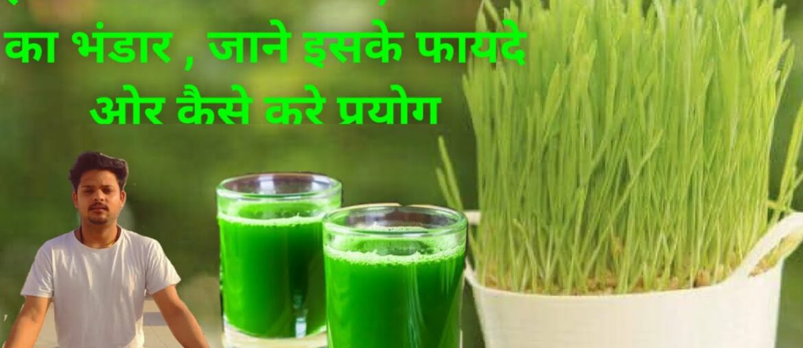 wheatgrass benefits , nutritional content