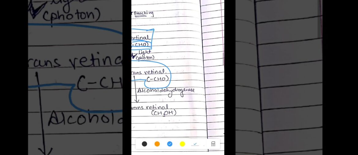 VITAMIN A - Part 1- Explained in HINDI (DOWNLOAD FOR BEST VIEW)