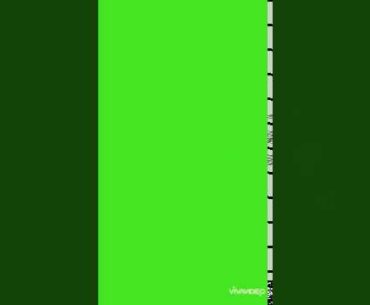 Puding kelor Pencegah corona/covid-19 #obatcorona #pencegahcorona #vitamincorona #pencegahcovid-19