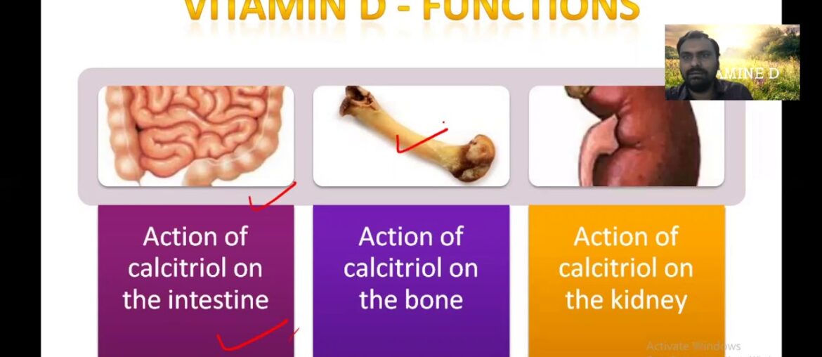 Vitamin D- Sources, RDA , biochemical functions & deficiency manifestations | Rickets |Osteomalacia