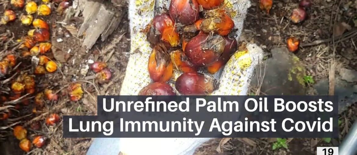 Unrefined palm oil discovered to  boost lungs immunity against covid 19.