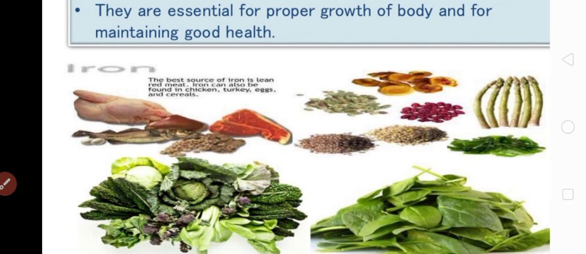 Sources and functions of vitamins and minerals.