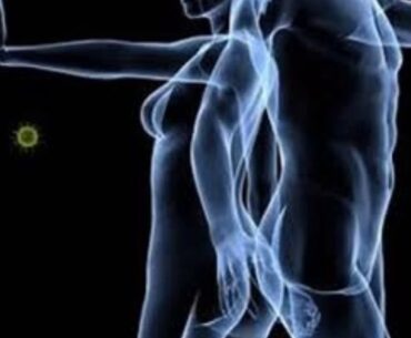 Immune system vs Coronavirus