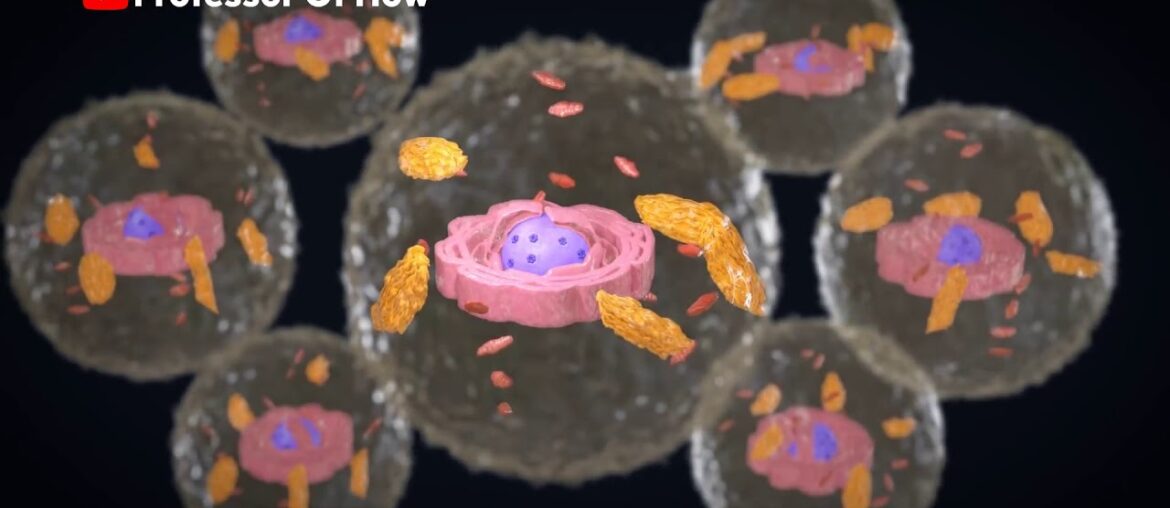 How Coronavirus Kills؟ Medical 3D Animation