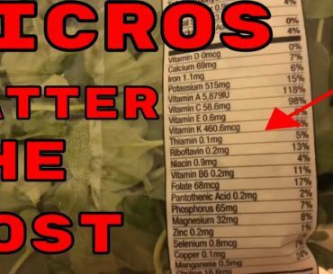 WHY MICRO NUTRIENTS  MATTER MORE THAN MACRO NUTRIENTS