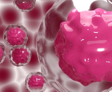 Top 5 Benefits Of Vitamin C