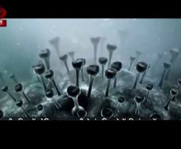 AYUSH protocol to boost immunity amid Covid-19 pandemic