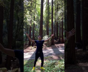 Forest Prayer to boost immune system during Covid19 Pandemic Coronavirus