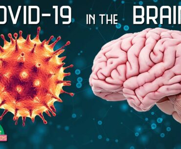 How COVID-19 Affects The Brain