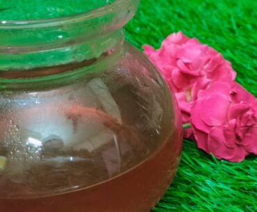 Rose Tea - Healthy Tea - Vitamin C Tea