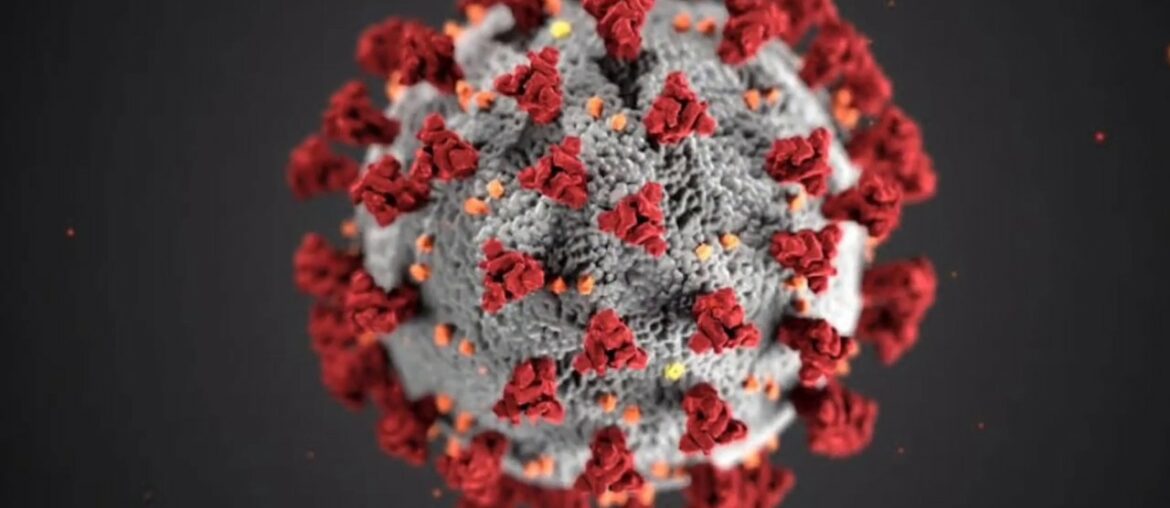 Corona Awareness and How to Boost your Immunity