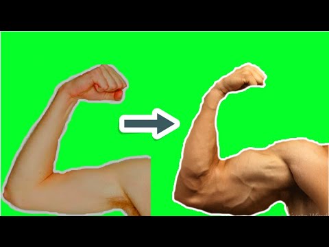 5 best muscle building foods at home