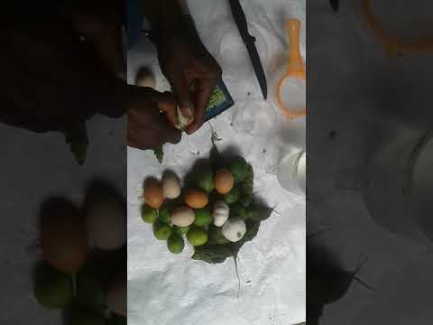 How to prevent Corona Virus 2019 (Covid-19) by naturally boosting your immune system