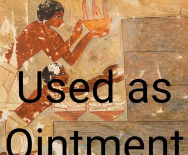 Benefits of honey good for immunity #stay home stay safe #coVID 19 # be healthy # be happy