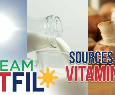 The Best Sources of Vitamin D | Team FitFil Episode 10