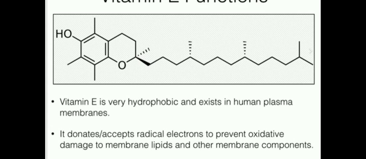 Vitamin E: Anti-oxidant Function