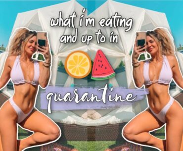 what I'm eating and doing in quarantine *grocery haul and more* *reupload*