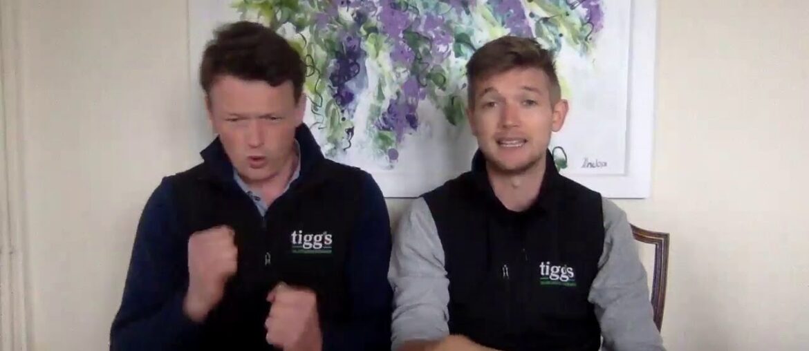 Extra Vitamins and Minerals now in ALL Tigg’s