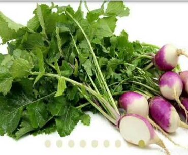 Nutrition lesson 14 (Vitamin B9)