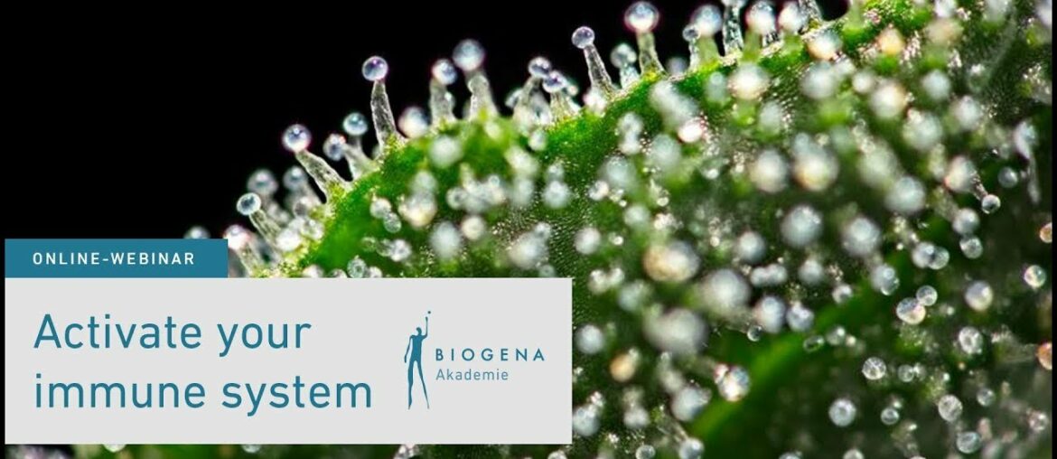 Activate your immune system - Knowledge in a nutshell - Webinar mit Michael Wäger, MSc. BSc.