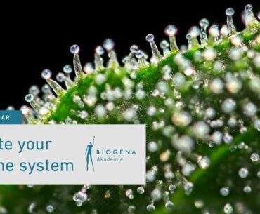 Activate your immune system - Knowledge in a nutshell - Webinar mit Michael Wäger, MSc. BSc.