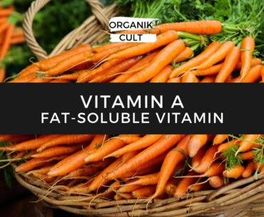 Vitamin A, Food Sources & Deficiency Diseases