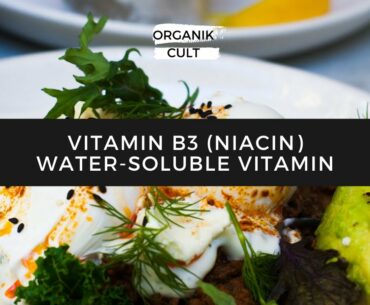 Vitamin B3 (Niacin) Food Sources & Deficiency Disease