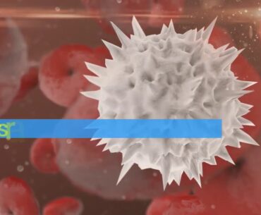 immune system booster vitamins - Immune Defence Review