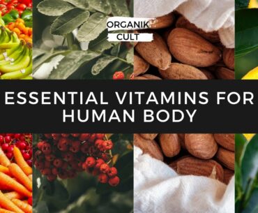 Essential Vitamins for Human Body
