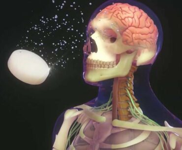 How the Body Absorbs and Uses Medicine | Merck Manual Consumer Version