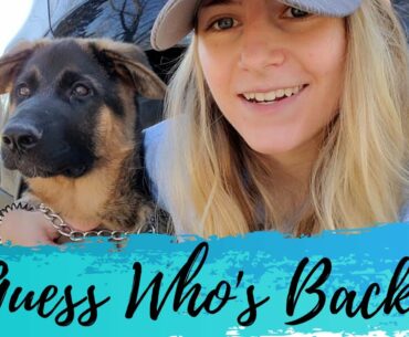 Quarantine Workout Haul - Vlog: 25