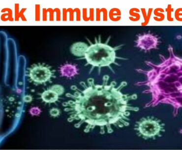 How To Boost Your Immune System? 😱(Immunity Fights Coronavirus)