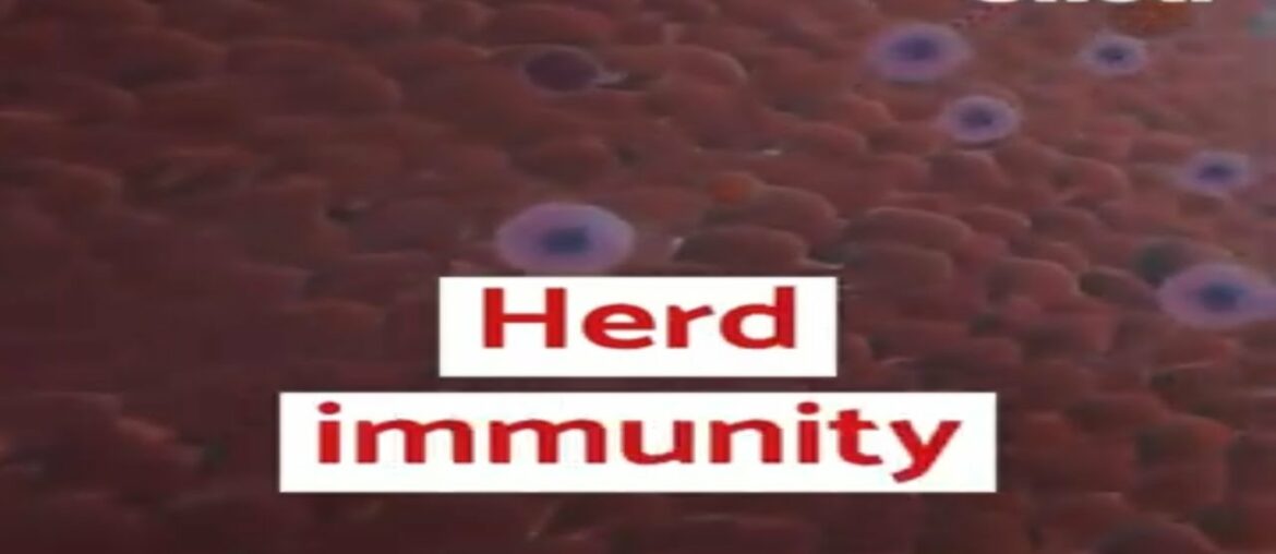 Herd Immunity- is it the answer to Coronavirus ??