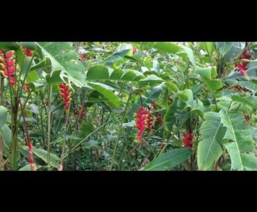 BEAUTY WISE PRACTICES: Sunscreen, Vitamin D and Photoaging