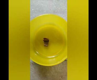 Covid-19#Coronavirus: Immunity Boosting Tea☕☕ Stay Home Stay Safe🏠🙏