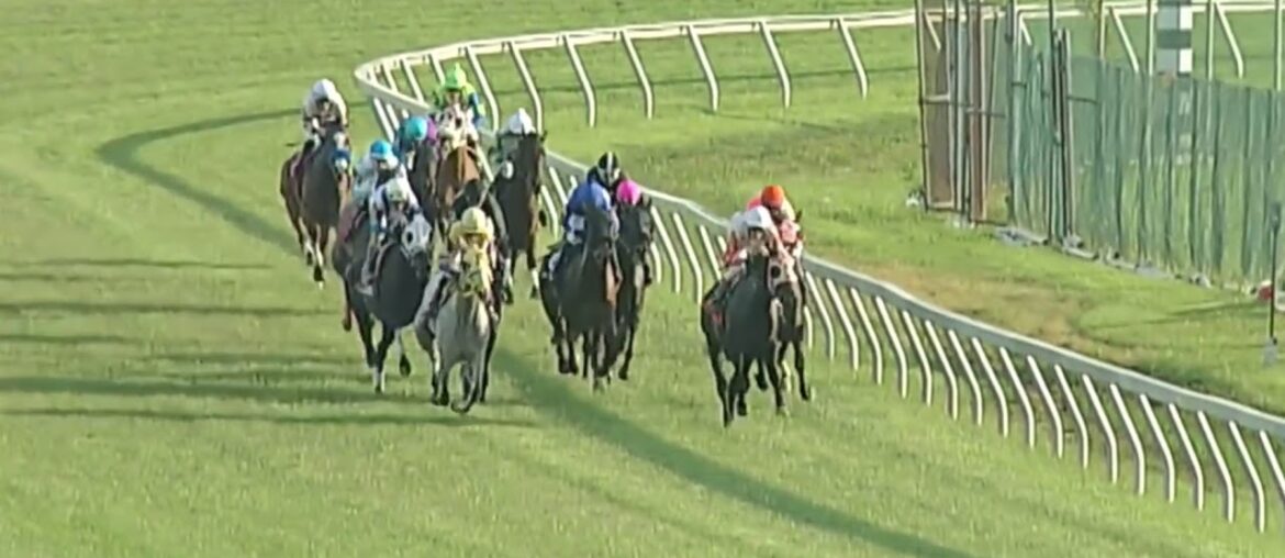 Coronavirus Horse Race Too Funny