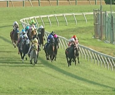 Coronavirus Horse Race Too Funny