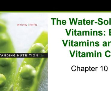 The Water Soluble Vitamins (Chapter 10)